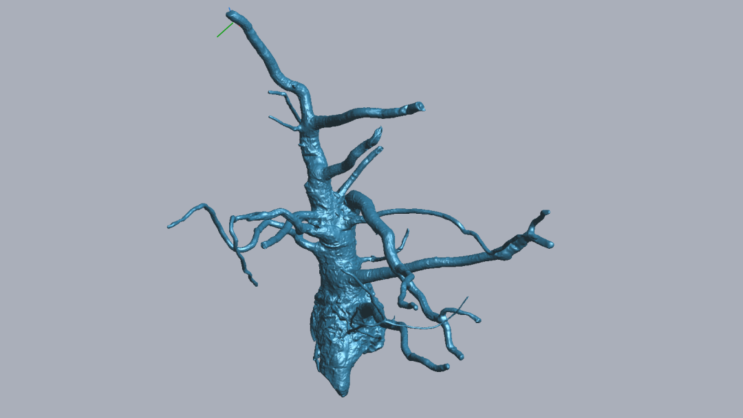 RigelScan三维激光扫描仪应用于植物3D数据采集建模和存档分析