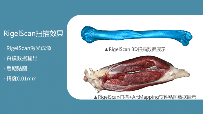 ▲RigelScan扫描+ArtMapping软件贴图数据展示