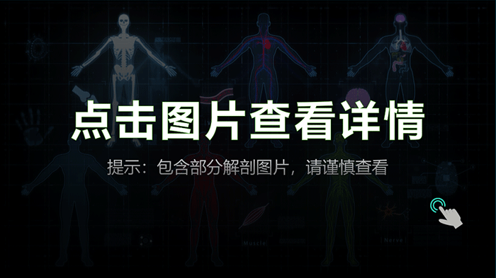 3D扫描仪应用于人体解剖——标本3D数字化和存档