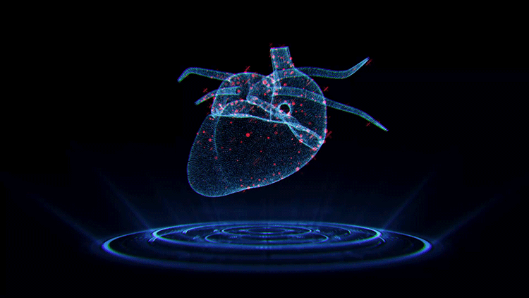 3D扫描仪用于动物实验——动物心脏解剖实验