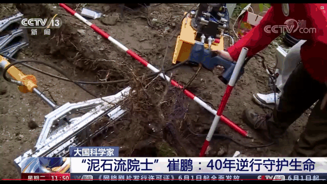 RigelScan三维激光扫描仪应用于植物3D数据采集建模和存档分析 RigelScan三维激光扫描仪应用于植物3D数据采集建模和存档分析