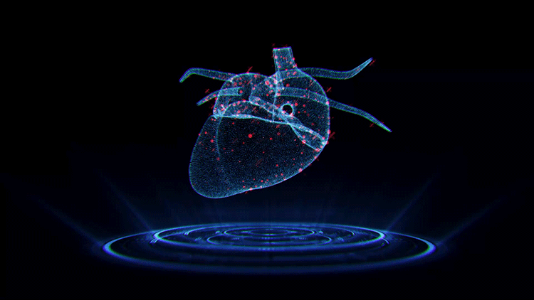 3D扫描仪用于动物实验——动物心脏解剖实验 3D扫描仪用于动物实验——动物心脏解剖实验